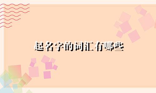 起名字的词汇有哪些