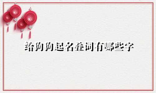 给狗狗起名叠词有哪些字