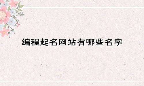 编程起名网站有哪些名字