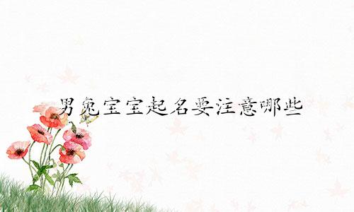 男兔宝宝起名要注意哪些