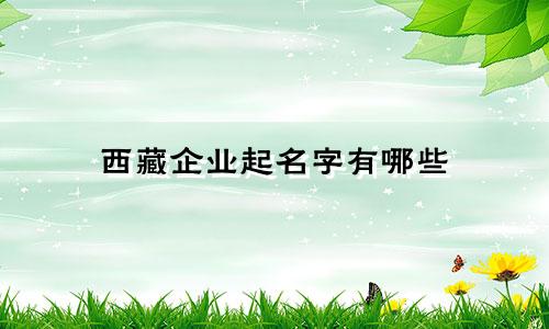 西藏企业起名字有哪些