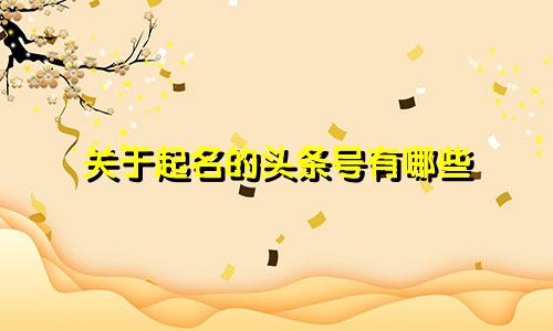 关于起名的头条号有哪些