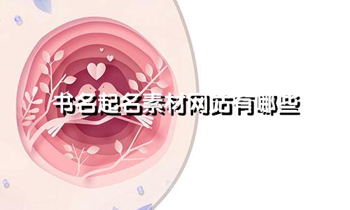 书名起名素材网站有哪些
