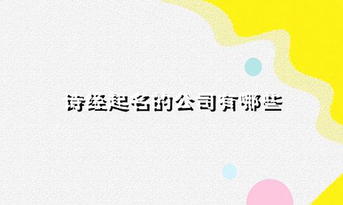 诗经起名的公司有哪些
