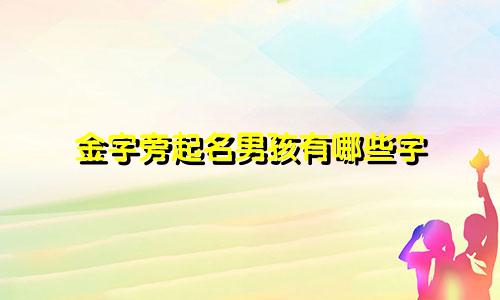 金字旁起名男孩有哪些字