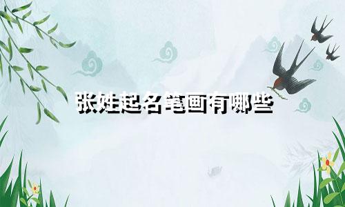 张姓起名笔画有哪些
