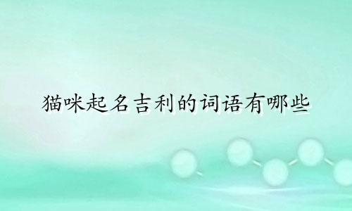 猫咪起名吉利的词语有哪些