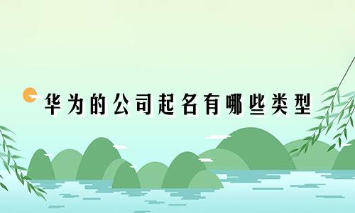 华为的公司起名有哪些类型