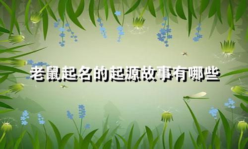 老鼠起名的起源故事有哪些