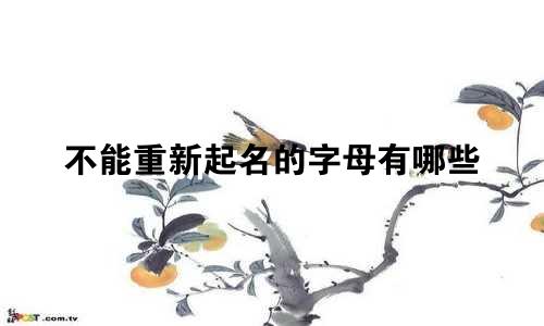 不能重新起名的字母有哪些