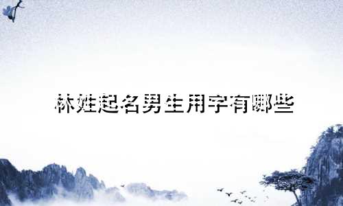 林姓起名男生用字有哪些