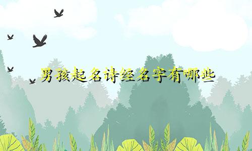 男孩起名诗经名字有哪些
