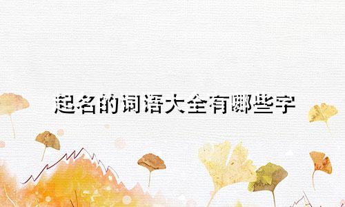 起名的词语大全有哪些字