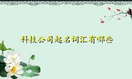 科技公司起名词汇有哪些