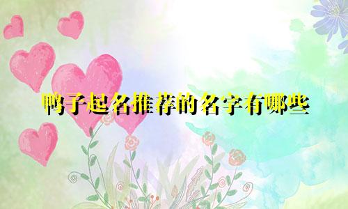 鸭子起名推荐的名字有哪些