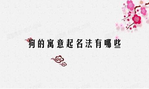 狗的寓意起名法有哪些