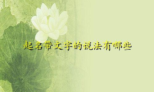 起名带文字的说法有哪些