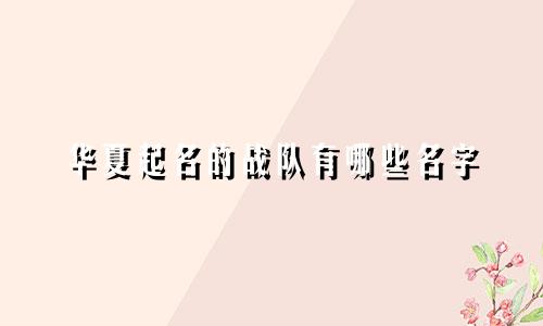 华夏起名的战队有哪些名字