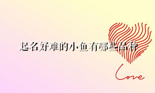 起名好难的小鱼有哪些品种