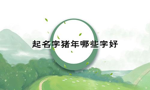 起名字猪年哪些字好