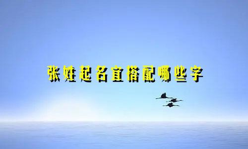 张姓起名宜搭配哪些字