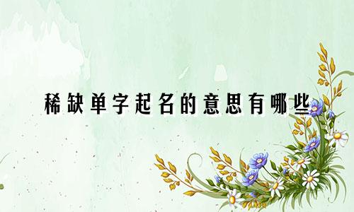 稀缺单字起名的意思有哪些