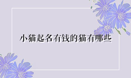 小猫起名有钱的猫有哪些