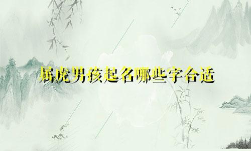 属虎男孩起名哪些字合适