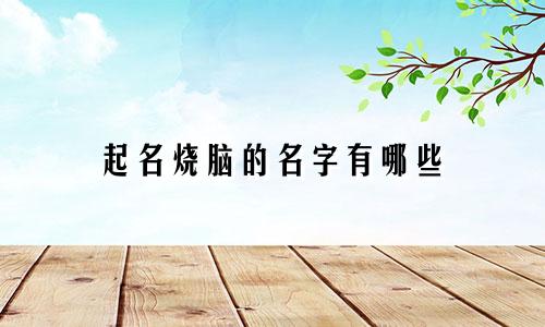 起名烧脑的名字有哪些