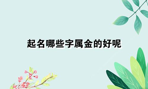 起名哪些字属金的好呢