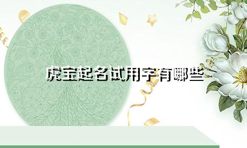 虎宝起名试用字有哪些