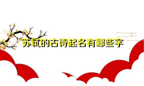 苏轼的古诗起名有哪些字