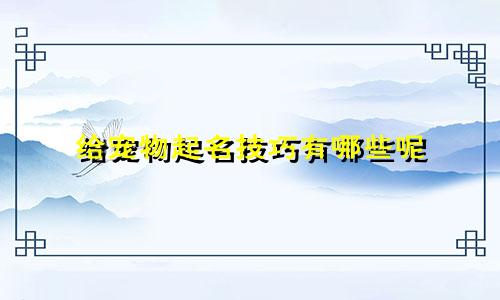 给宠物起名技巧有哪些呢