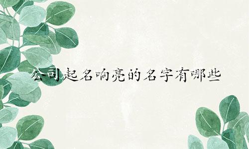 公司起名响亮的名字有哪些