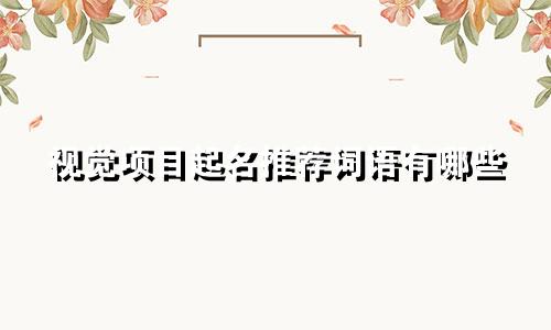 视觉项目起名推荐词语有哪些