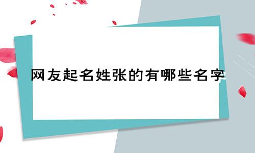 网友起名姓张的有哪些名字