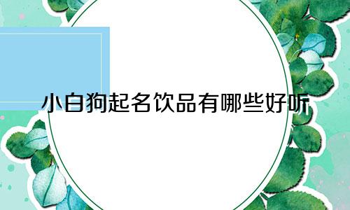 小白狗起名饮品有哪些好听
