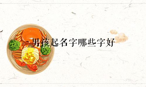 男孩起名字哪些字好