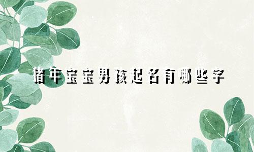 猪年宝宝男孩起名有哪些字