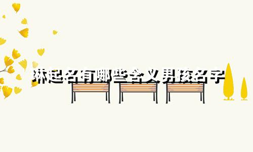 琳起名有哪些含义男孩名字