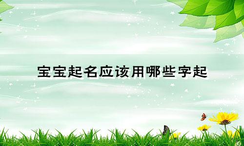 宝宝起名应该用哪些字起