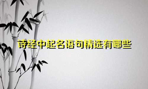 诗经中起名语句精选有哪些