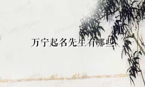 万宁起名先生有哪些