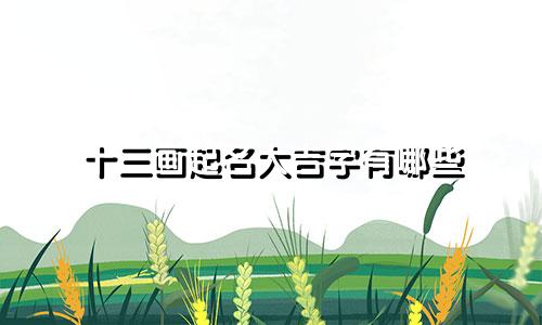 十三画起名大吉字有哪些