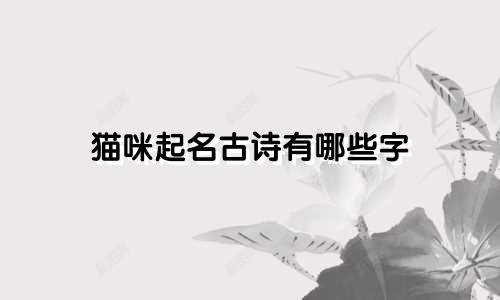 猫咪起名古诗有哪些字