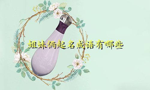 姐妹俩起名成语有哪些