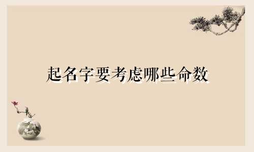 起名字要考虑哪些命数