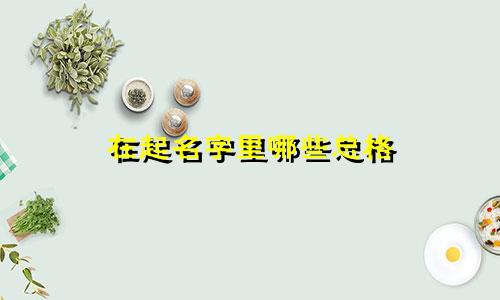 在起名字里哪些总格