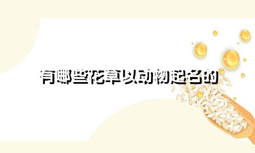 有哪些花草以动物起名的