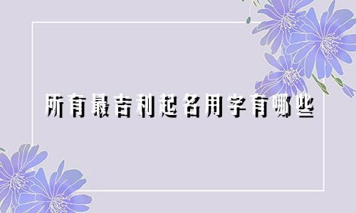 所有最吉利起名用字有哪些